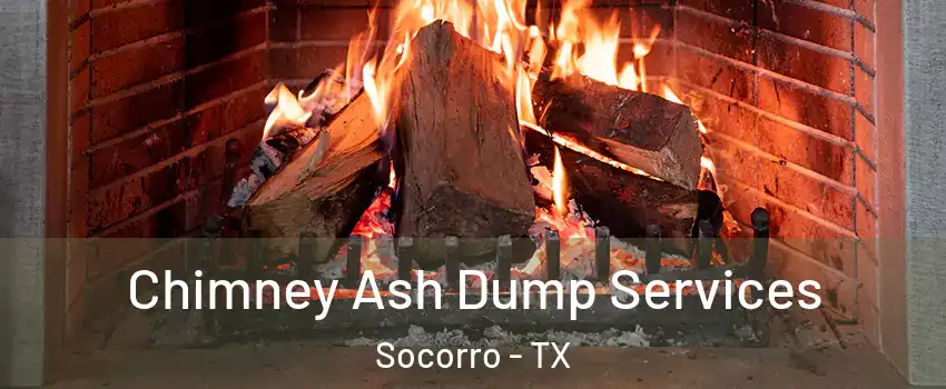  Chimney Ash Dump Services Socorro - TX