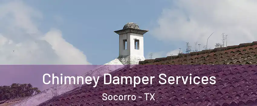  Chimney Damper Services Socorro - TX