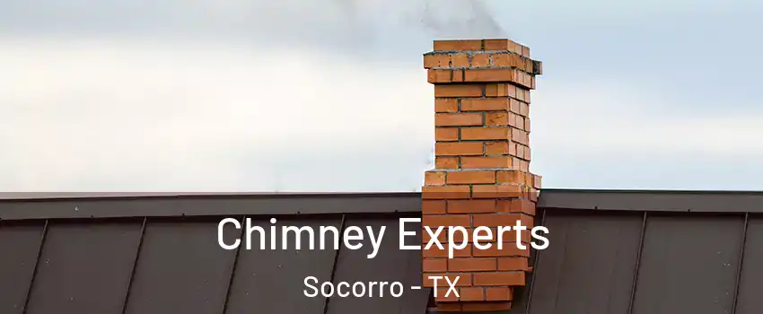 Chimney Experts Socorro - TX