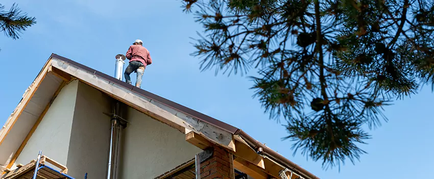 Birds Removal Contractors from Chimney in Socorro, TX