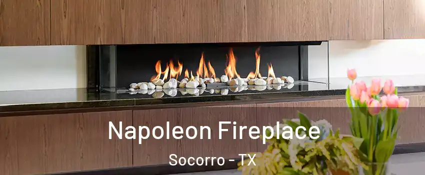  Napoleon Fireplace Socorro - TX